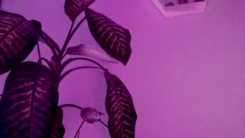 Saray  online show from March 2026 04:17:01 AM