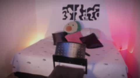 Snapshot of sarrah_3 chatting on November 2025 10:43:02 PM Sara online show from November 2025 10:43:02 PM