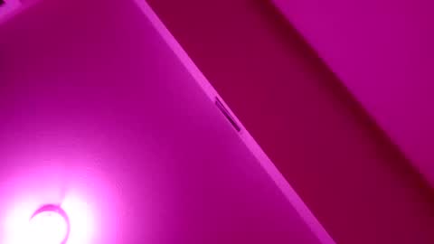 sashalustt69 online show from February 2026 08:35:02 AM