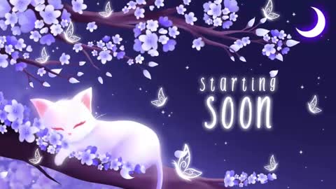 Sassy Sami Kittyn online show from November 2025 06:23:01 AM