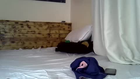 Snapshot of sassyqueen22 chatting on November 2025 10:17:01 AM sassy online show from November 2025 10:17:01 AM