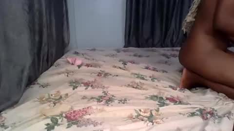 pety online show from April 2026 06:31:02 PM