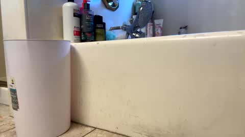 ElVergone online show from March 2026 11:40:01 PM