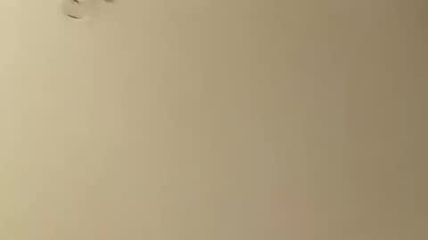 Snapshot of saucybear666 chatting on January 2025 05:13:01 AM SnowBunny online show from January 2025 05:13:01 AM