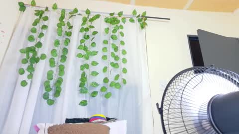 savory_pussy18 online show from March 2026 11:47:01 AM