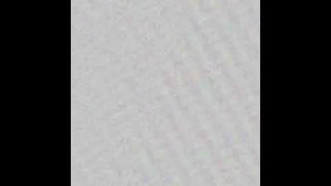 Snapshot of scalertt__steel_ chatting on February 2025 12:11:02 PM Venus online show from February 2025 12:11:02 PM