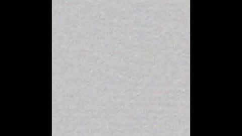 Snapshot of scalertt__steel_ chatting on November 2025 02:08:01 PM Venus online show from November 2025 02:08:01 PM