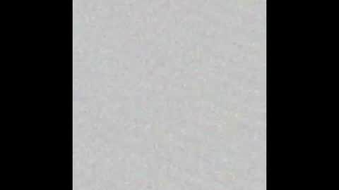 Snapshot of scalertt__steel_ chatting on November 2025 02:00:01 PM Venus online show from November 2025 02:00:01 PM