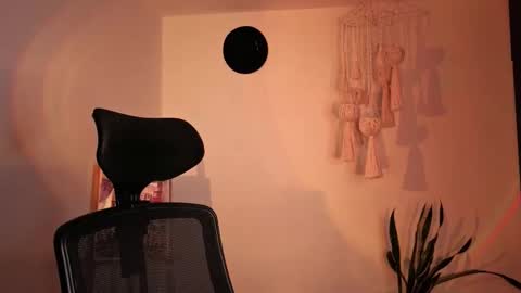 Snapshot of scalertt__steel_ chatting on November 2025 01:55:01 PM Venus online show from November 2025 01:55:01 PM