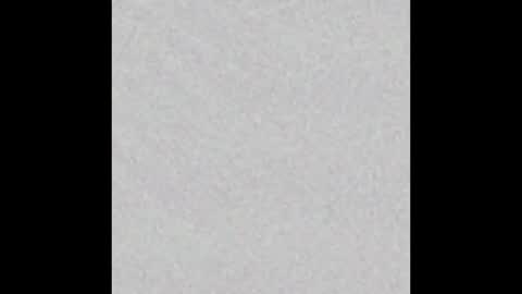 Snapshot of scalertt__steel_ chatting on November 2025 02:50:01 PM Venus online show from November 2025 02:50:01 PM