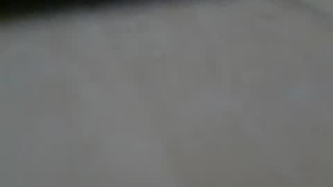 schwaermer1 online show from June 2026 09:25:02 AM