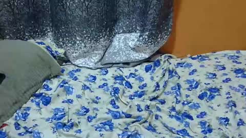 Its Lilly online show from January 2025 03:11:01 AM