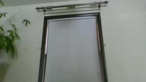 scottpbi52 online show from December 2024 05:40:01 PM