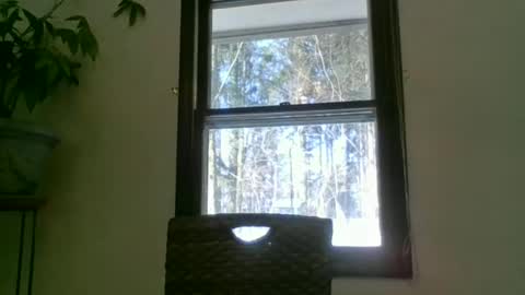 scottpbi52 online show from January 2025 02:14:01 PM