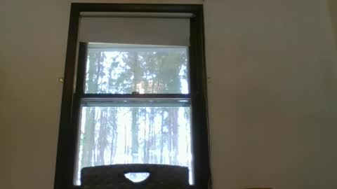 scottpbi52 online show from February 2025 05:28:01 PM