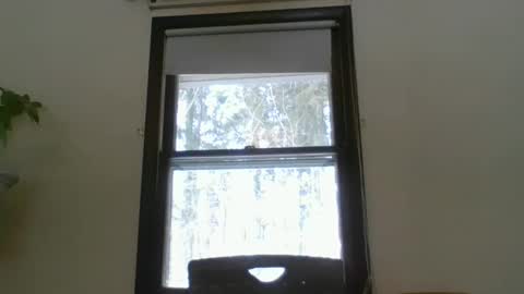 scottpbi52 online show from February 2025 03:16:01 PM