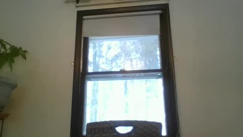 scottpbi52 online show from February 2025 01:30:01 PM