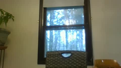 scottpbi52 online show from March 2025 01:17:02 PM