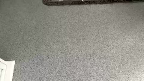 Snapshot of scottyc48 chatting on November 2025 10:04:02 AM scottyc48 online show from November 2025 10:04:02 AM