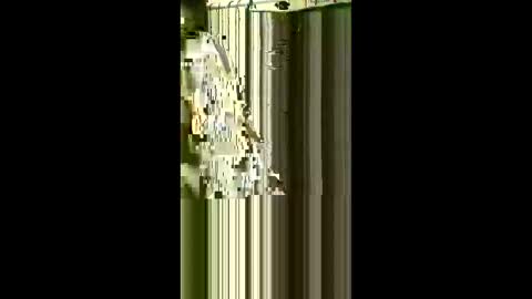 Snapshot of scoutiii chatting on May 2026 07:57:02 AM scoutiii online show from May 2026 07:57:02 AM