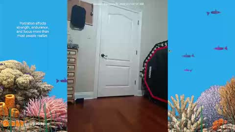 ScrubbyLuv online show from February 2026 07:07:01 AM