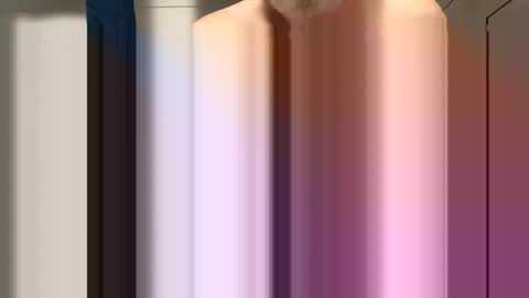 sdriv33390317 online show from March 2026 11:22:02 AM