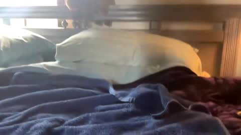 Skylar87 online show from December 2024 06:26:02 PM