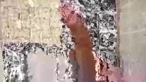 seb97400 online show from February 2026 07:34:01 PM