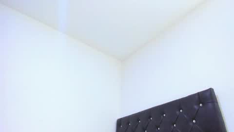 Snapshot of sebastian_dash chatting on February 2025 06:29:01 AM SEBAS online show from February 2025 06:29:01 AM