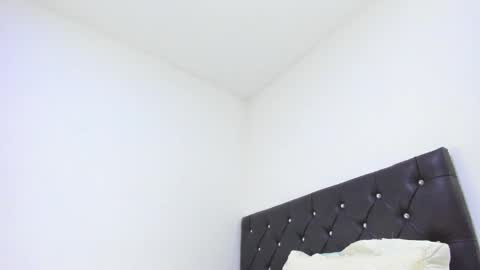 Snapshot of sebastian_dash chatting on February 2025 01:22:01 AM SEBAS online show from February 2025 01:22:01 AM