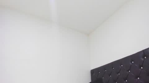 Snapshot of sebastian_dash chatting on February 2025 01:21:02 AM SEBAS online show from February 2025 01:21:02 AM