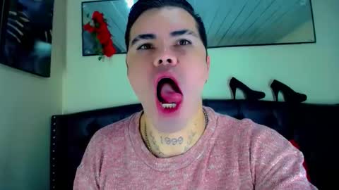 Snapshot of sebastian_loaiza chatting on November 2025 04:16:01 PM Sebastian online show from November 2025 04:16:01 PM