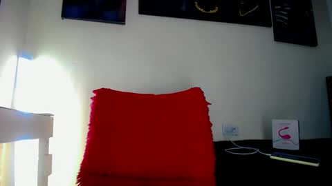 Snapshot of sebastian_loaiza chatting on November 2025 03:12:02 PM Sebastian online show from November 2025 03:12:02 PM