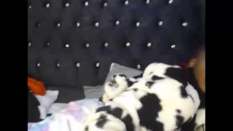 sebatrishaa online show from October 2025 10:52:01 PM