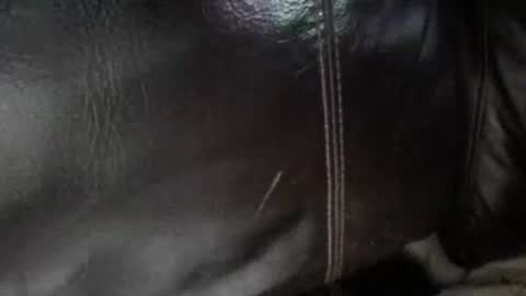 Snapshot of secret18slaveanon chatting on January 2026 06:40:01 AM Sunny online show from January 2026 06:40:01 AM