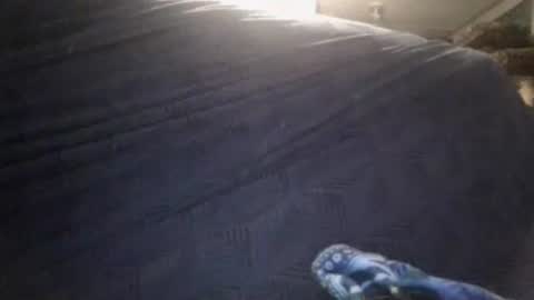 Snapshot of secret18slaveanon chatting on February 2026 03:37:02 AM Sunny online show from February 2026 03:37:02 AM