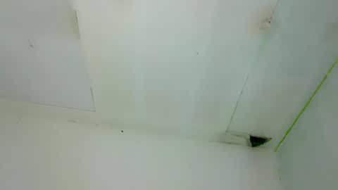 seducive_allea online show from December 2025 07:04:01 AM