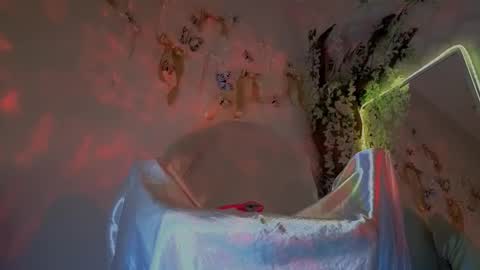 Mali online show from February 2026 09:57:02 AM