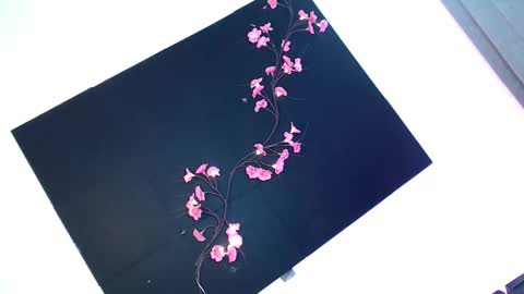 cath online show from November 2025 05:43:01 AM