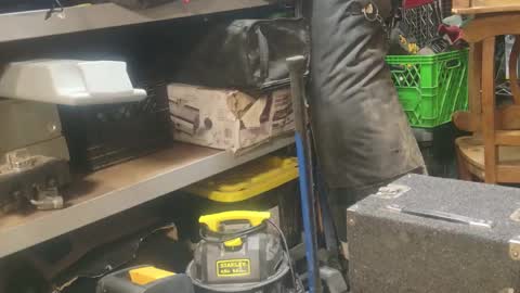 Seeker online show from January 2025 09:17:02 AM