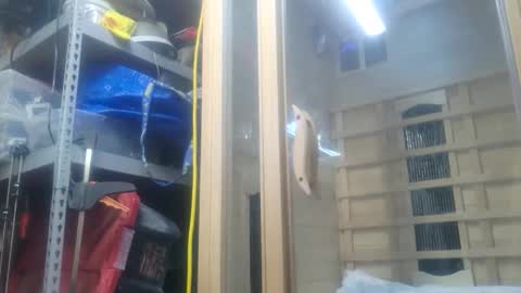 Seeker online show from October 2025 11:09:02 PM