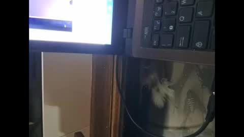 segaiolo21cm online show from April 2026 09:31:01 PM