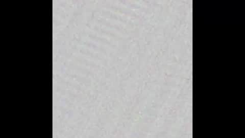 Selene online show from November 2025 11:56:02 AM