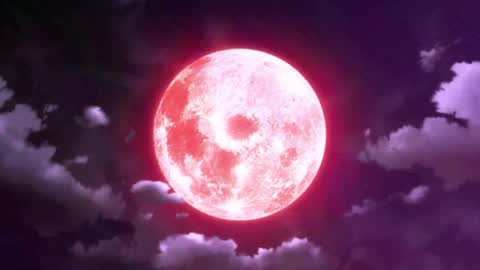 Selene G  online show from March 2026 02:28:02 AM