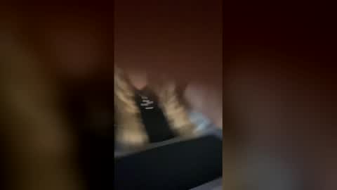 Alina online show from November 2025 10:15:01 AM