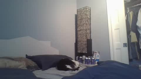 sensualcock4you online show from December 2025 02:24:02 PM