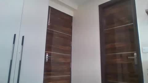 Snapshot of sentientarjun chatting on December 2024 06:19:01 AM Sentient Being online show from December 2024 06:19:01 AM