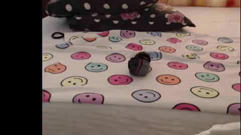 Anne online show from October 2025 05:04:02 AM