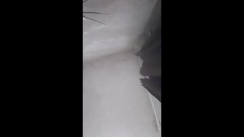 sergiobianchi977 online show from April 2026 01:19:01 AM