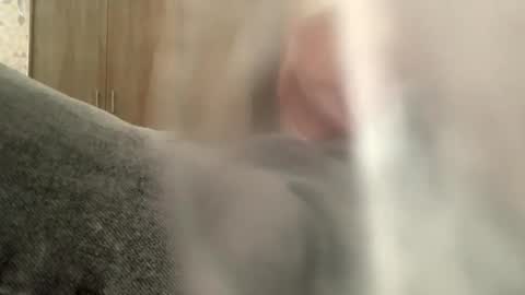 serpenttiin online show from September 2025 07:55:02 AM